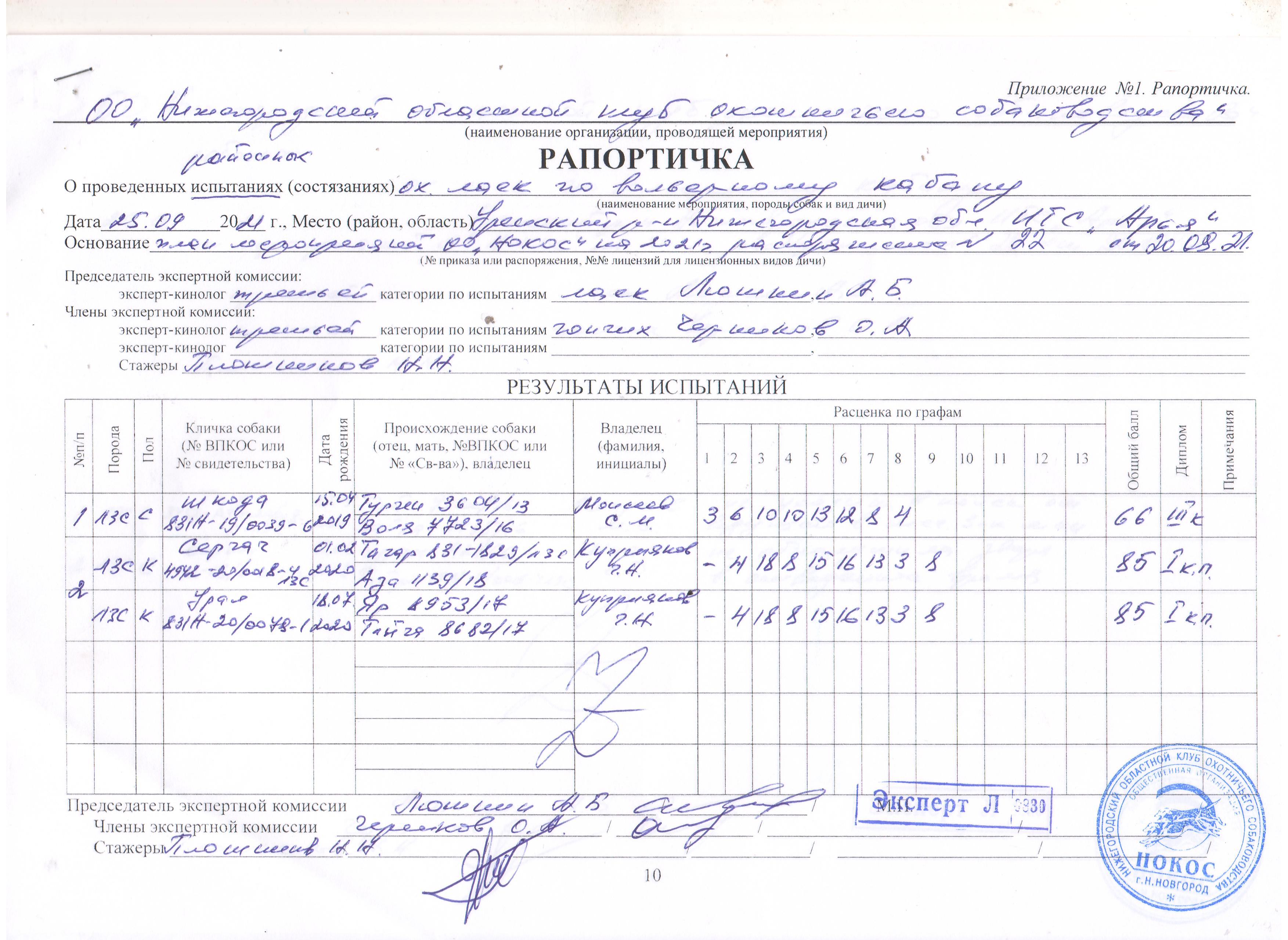 Выписка о прививках где взять. Рапортичка. Рапортичка для детского сада.