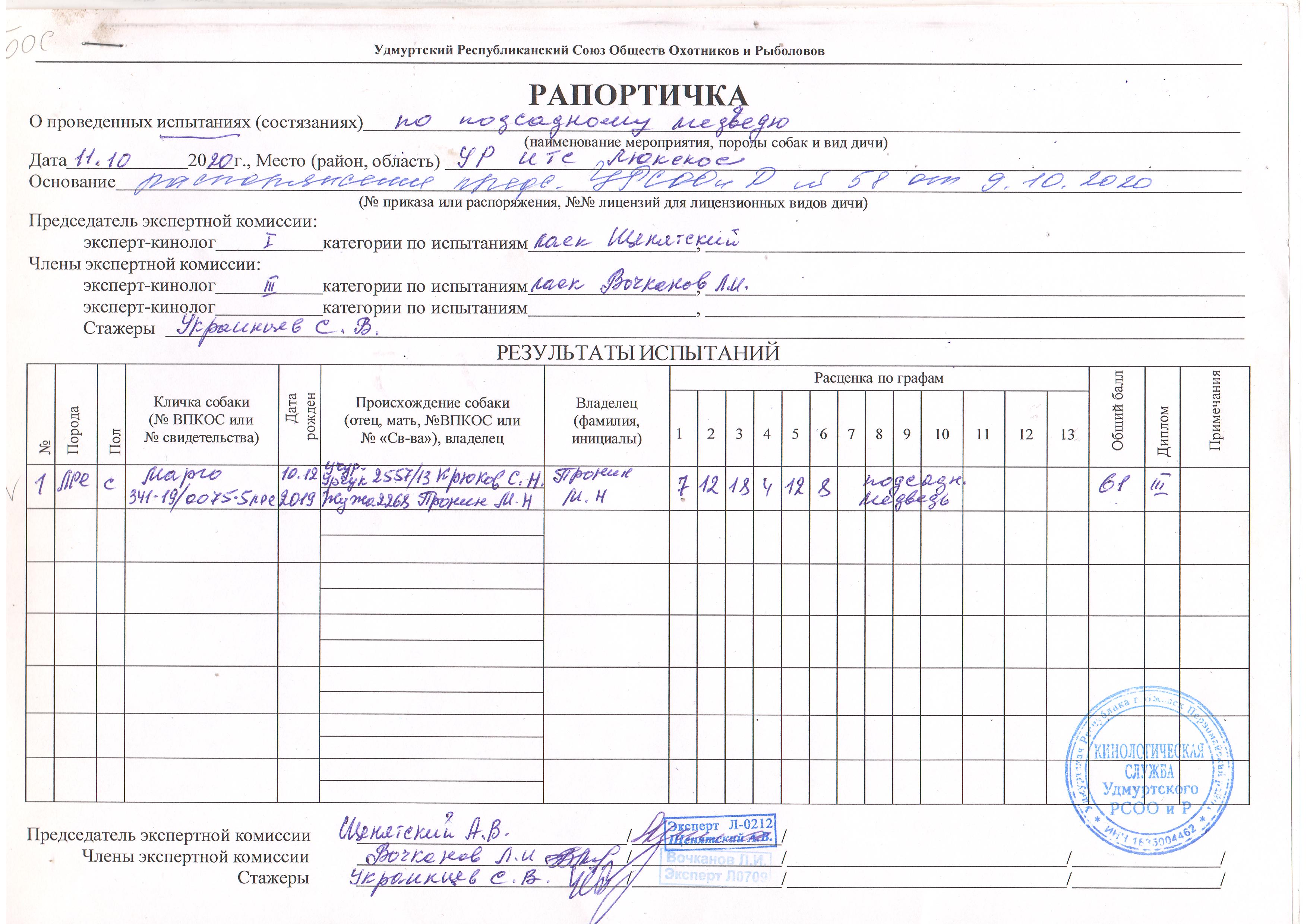 Кассовая рапортичка на билеты образец