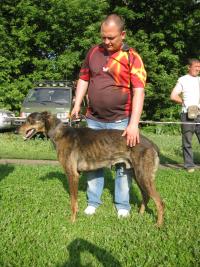 ХБ С-Гепард вл.Вараницкий МА